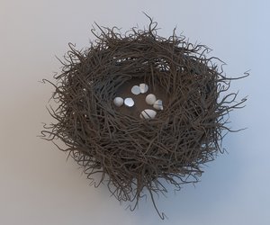 bird nest model