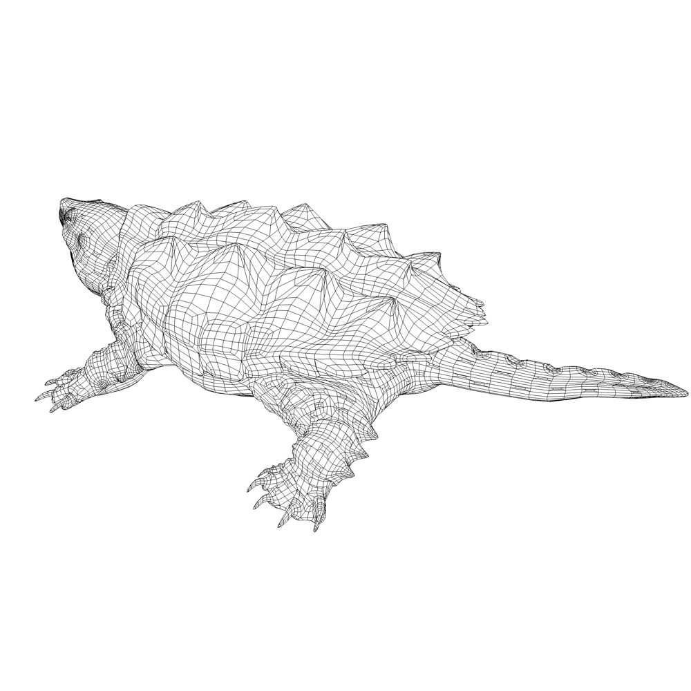 鳄鱼鳄龟3d模型