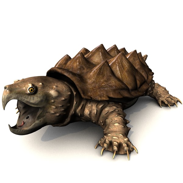 alligator snapping turtle plush