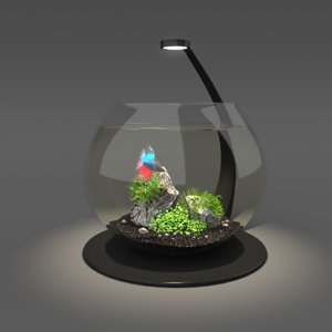 3D bowl aquarium
