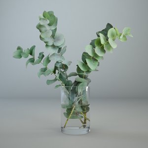 eucalyptus glass vase 3D