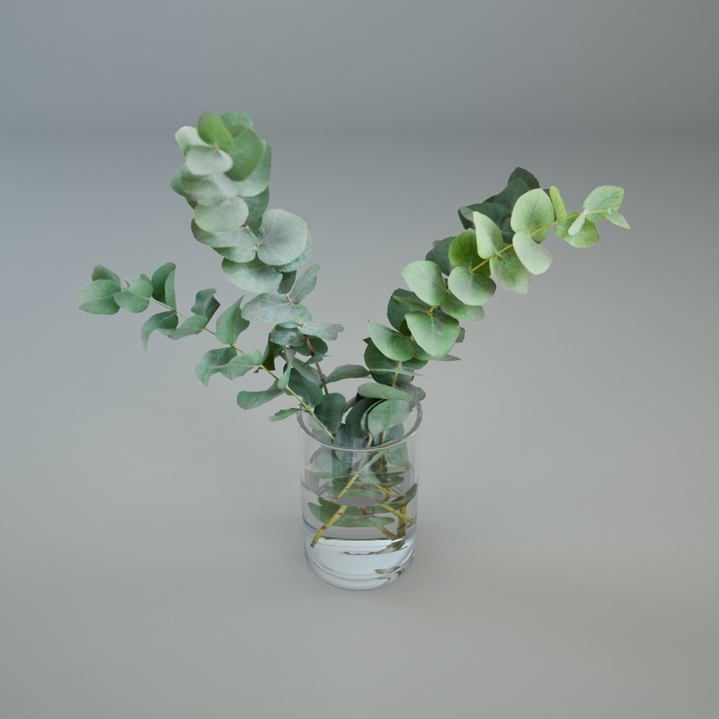 Eucalyptus glass vase 3D 1147224 TurboSquid