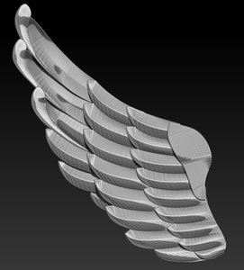 3D model animal wing
