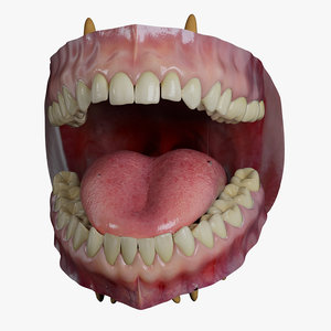 mouth realistic human model