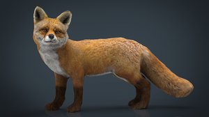 3D hd fox