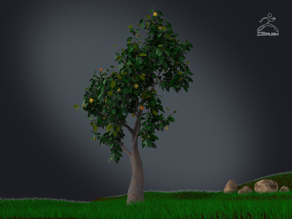 3D zbrush grass TurboSquid 1149332