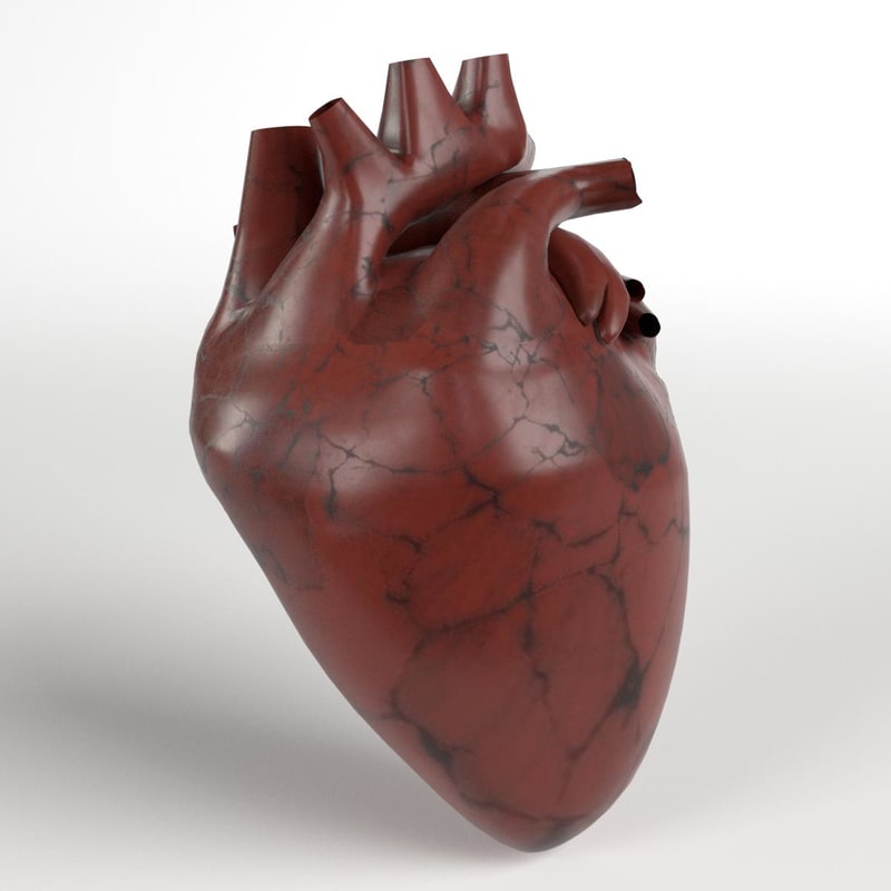 3d human heart drawing