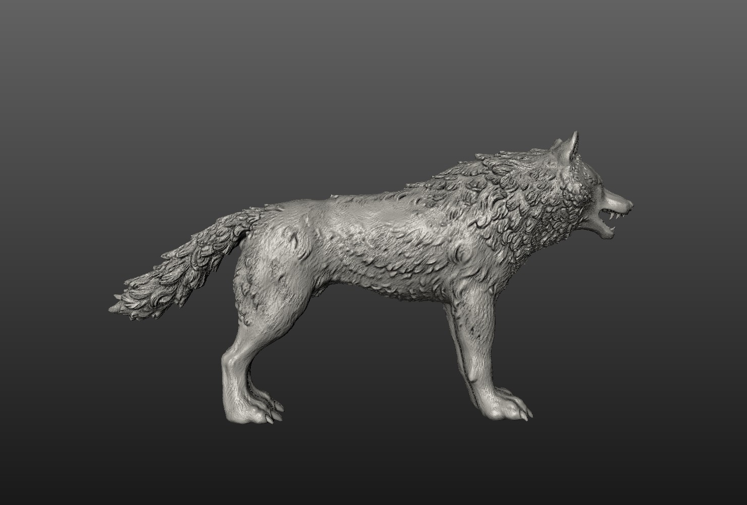 Wolf models. Волк 3д модель. Вороной 3d модель волка. Макет волка. 3д модель кубического волка.
