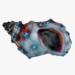 sea shell 3 blue 3D model