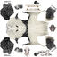 giant panda rigged bear fur 3D model