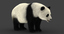 giant panda animation bear fur 3D