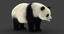 giant panda animation bear fur 3D