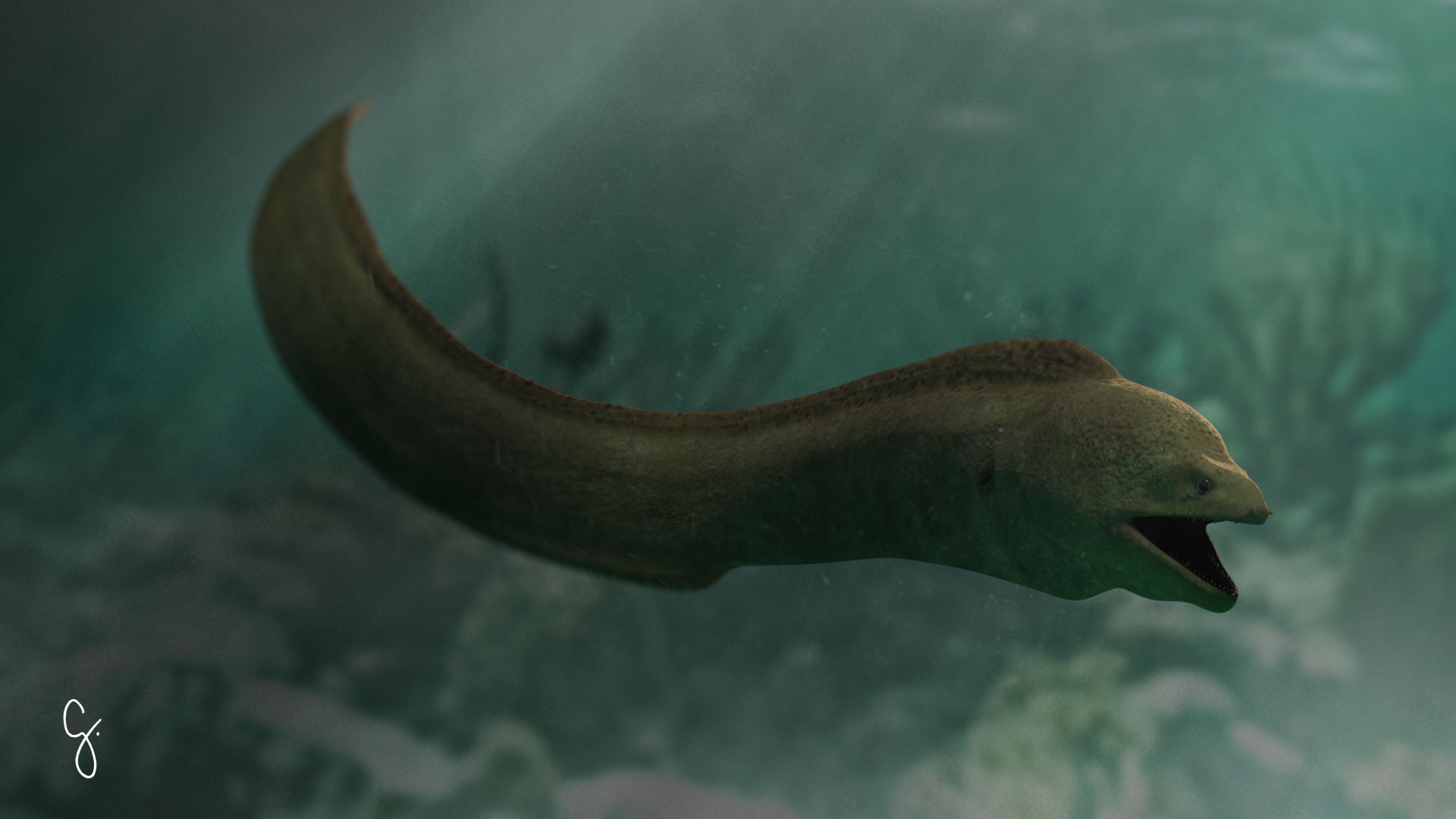 Moray eel 3D - TurboSquid 1150274