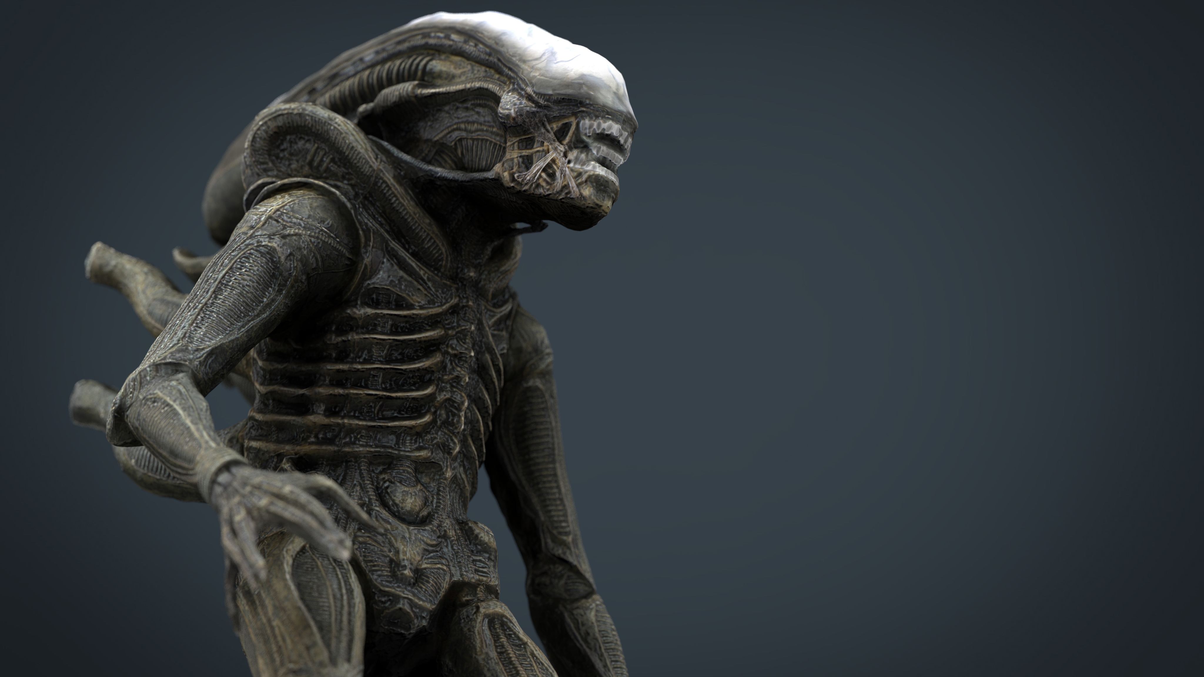 3d model alien xenomorph