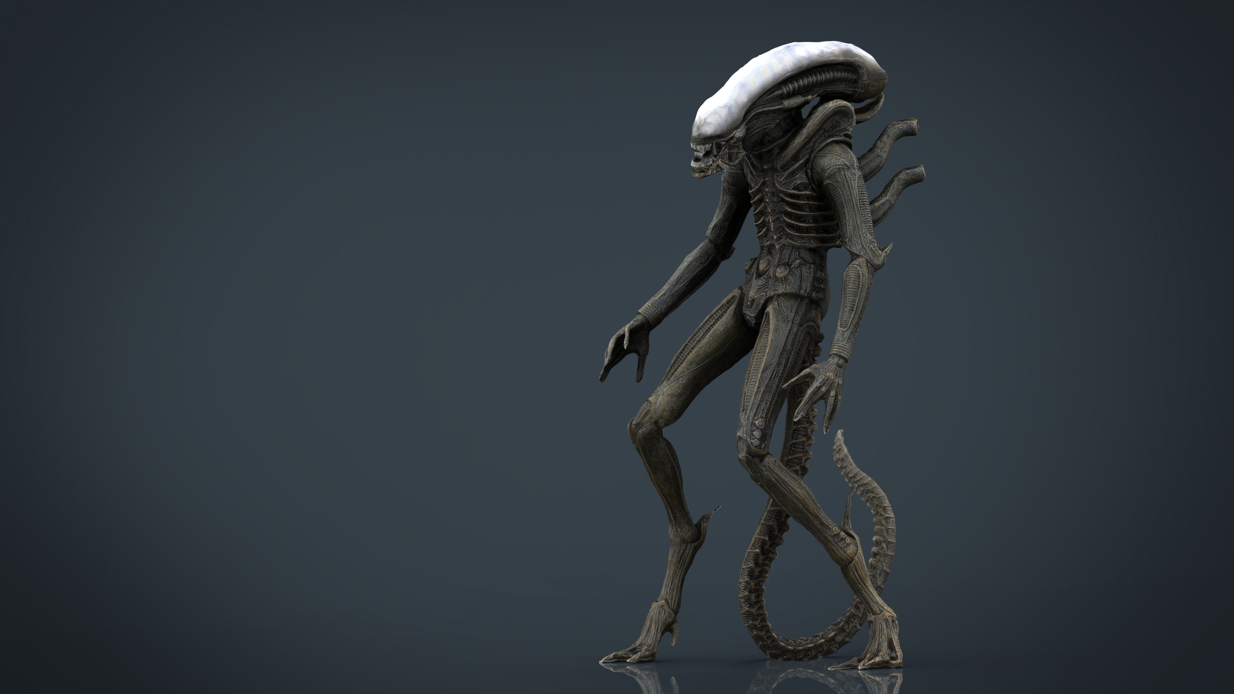 3d model alien xenomorph