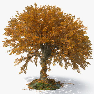 3D realistic tree