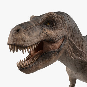 tyrannosaurus dinosaur animation 3D model
