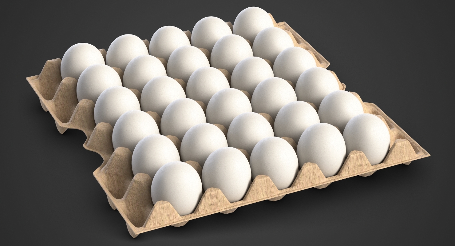 3d egg package white