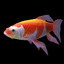 3D koi gold fish