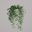 3D model tree plant