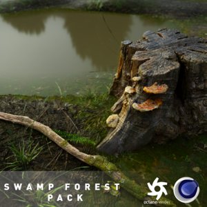 pond swamp scene forest 3D model