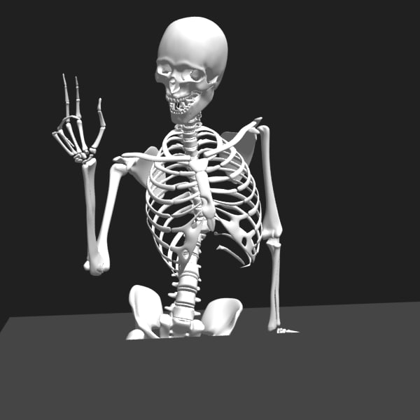 free skeleton 3d model rigged blender