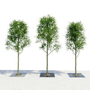 3D tree planter grate set