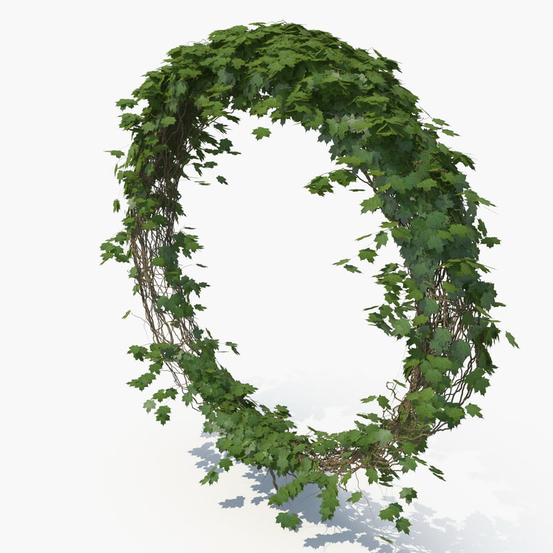Realistic ivy 3D TurboSquid 1151367