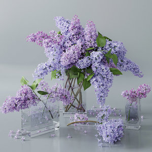 3D model hydrangea purple blue - TurboSquid 1398526