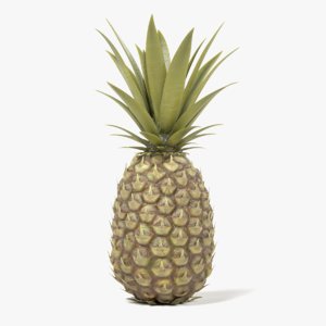 pineapple pine apple 3D