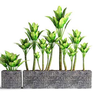 plants pot 3D model