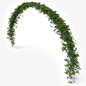 realistic ivy arch 3D model