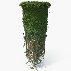 realistic ivy column model