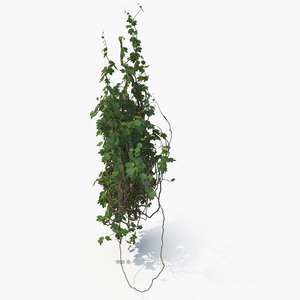 3D realistic ivy column