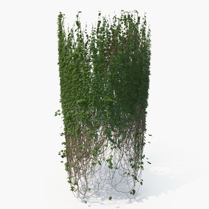 3D realistic ivy column