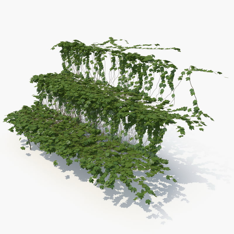 3D realistic ivy stairs TurboSquid 1151672