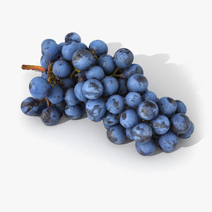 scan grape realistic 3D model
