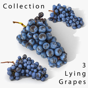 3D scan grape realistic