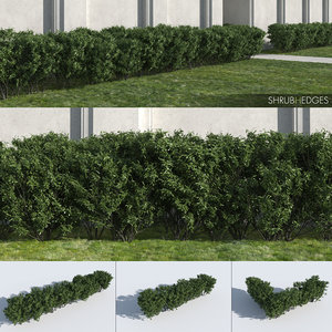 3D shrub hedges