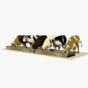 group 7 cows eating 3D