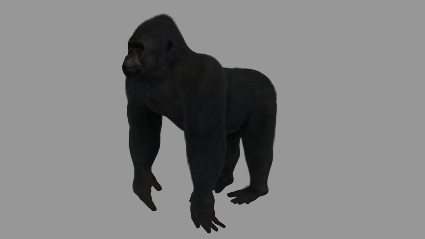 3d Gorilla Art - Turbosquid 1153152