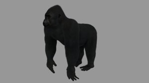 3D gorilla art