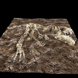 3D t-rex fossilized model