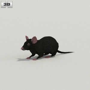 mouse black 3D model
