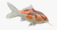 koi fish rigged 3D model