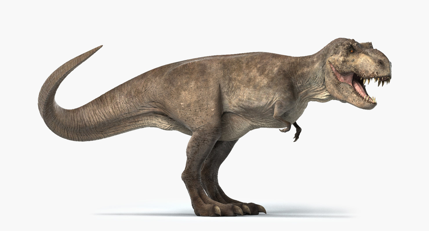 tyrannosaurus 3d model