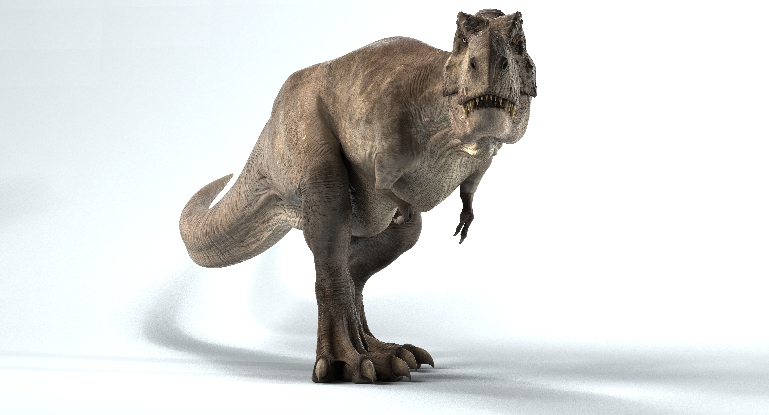 tyrannosaurus rex rigged3d模型