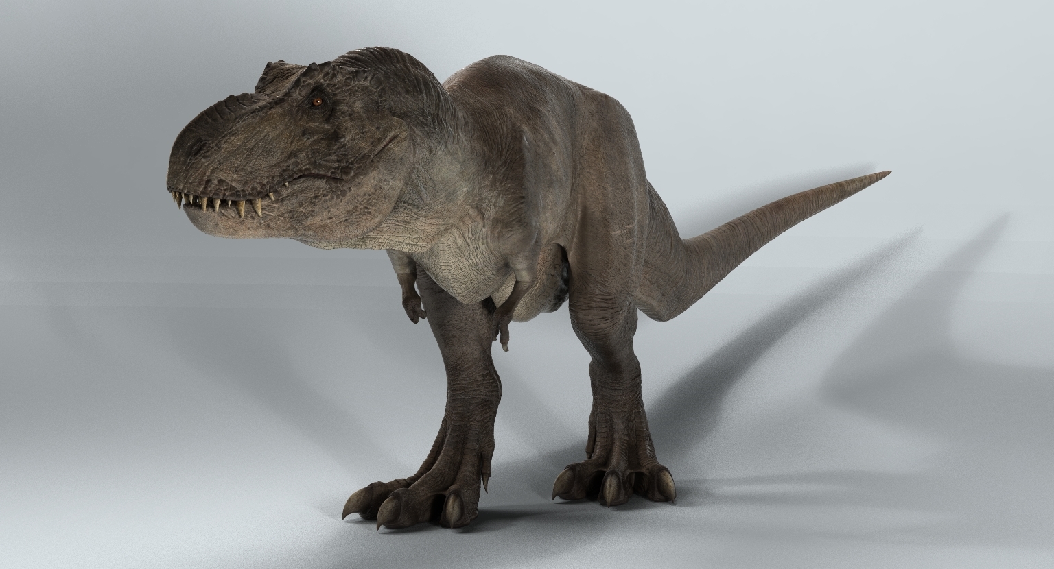 realistic tyrannosaurus rex