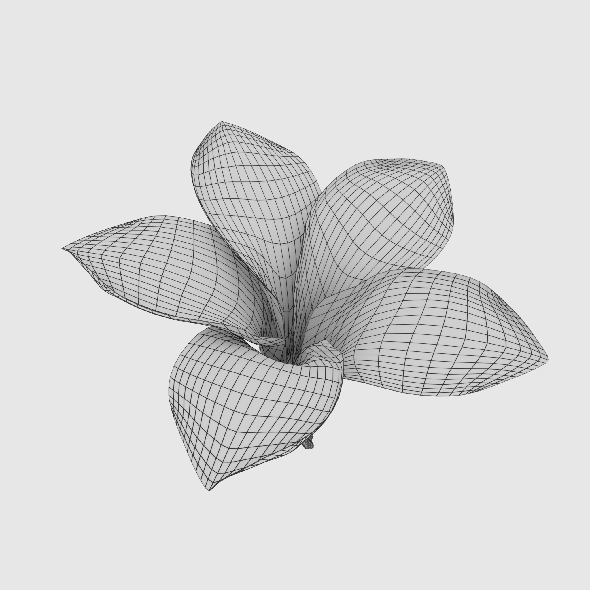 Kamboja flower frangipani 3D - TurboSquid 1154019