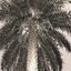 3D model phoenix dactylifera palm